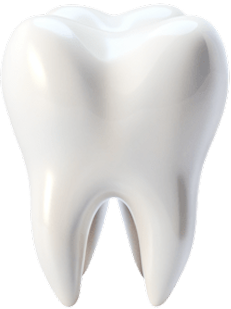 Dental Tooth